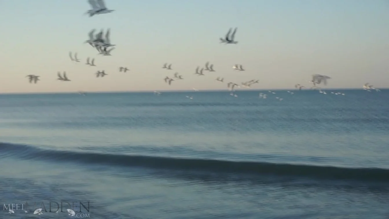 Preview of MeetMadden On The Beach XXX